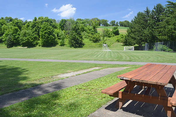 Soccer field and picnic table