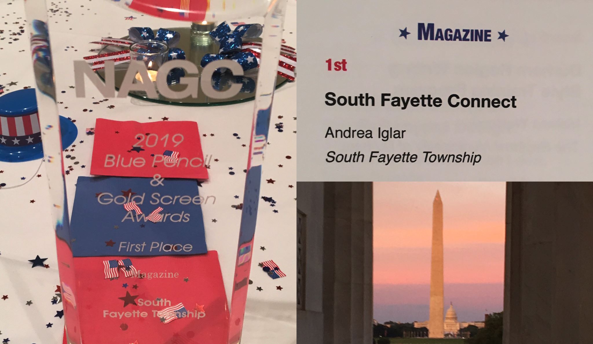 NAGC DC Awards Collage 2019