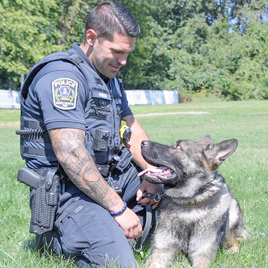 Korkus ONeil in grass for newsflash