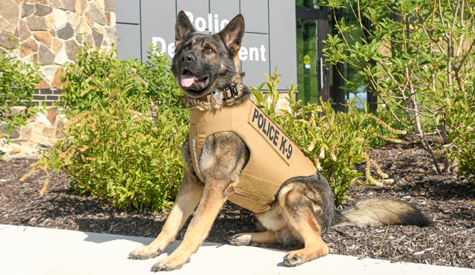 K9 ONeil Protective Vest with landscaping